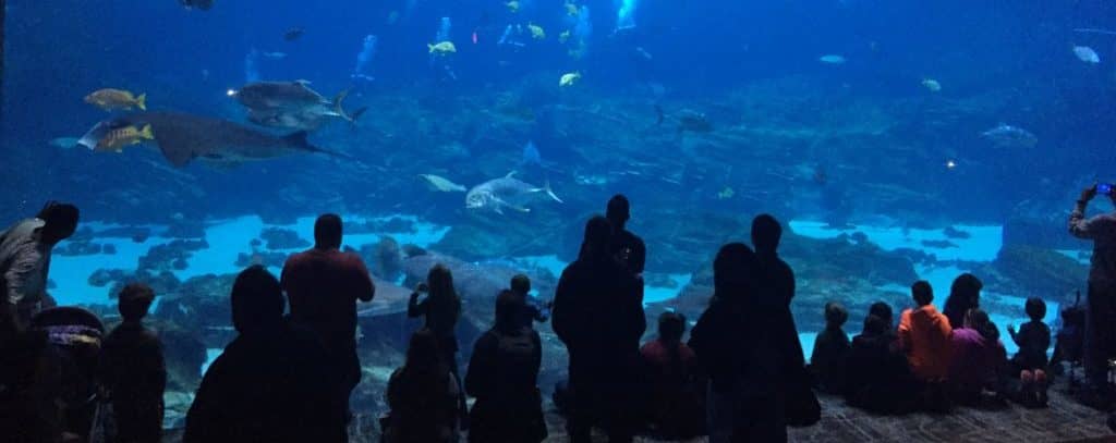 Photo of Aquarium