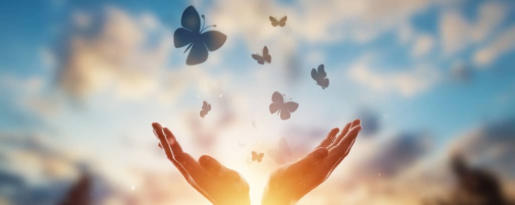 Photo of two hands open to the heavens and releasing butterflies into the sunrise