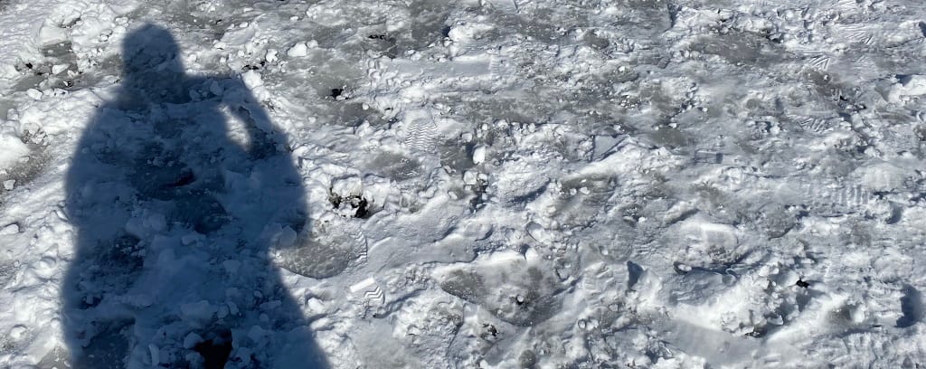 Photo of Nance L. Schick taking a photo of her shadow on a snowy day in Brooklyn, New York.