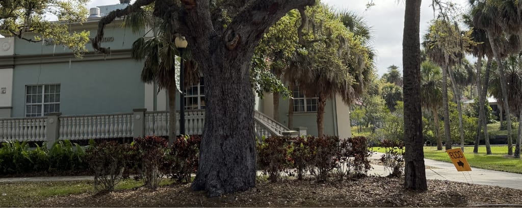 Photo of FLCC sign on Ringling campus