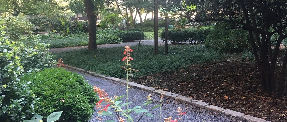 Photo of NYC Park